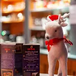 홀리데이파크 Village Cap France La Bolle 생디에데보주