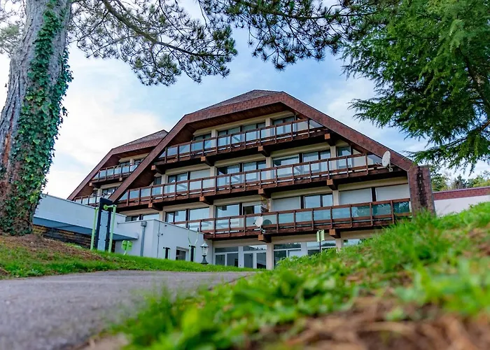 Village Cap France La Bolle Saint-Die-des-Vosges