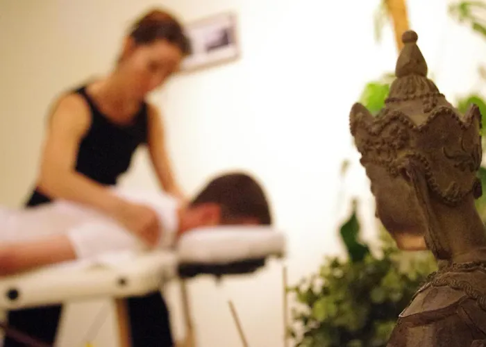 Village Cap France La Bolle Saint-Die-des-Vosges