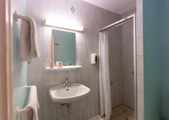 Village Cap France La Bolle Saint-Die-des-Vosges